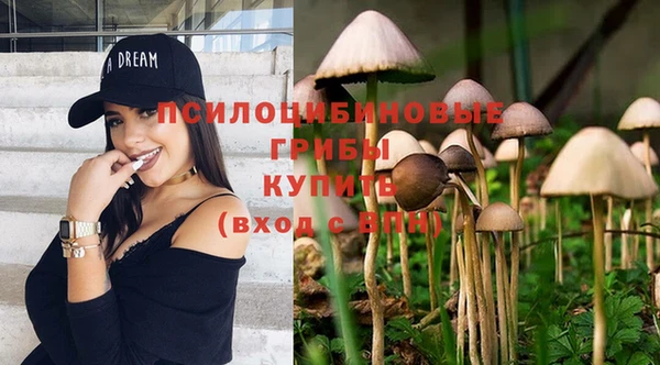 ешки Алзамай