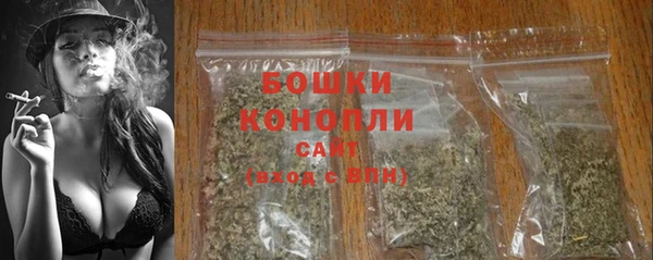бошки Алексин